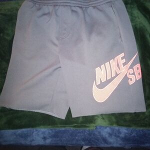 Nike SB shorts